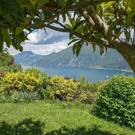 Paradise Garden & View